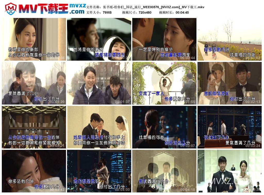 张书瑶-给你们_国语_流行_MEE00576